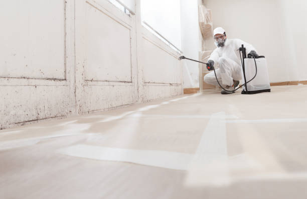 24/7 Emergency Mold Remediation experts in Aurora, IL